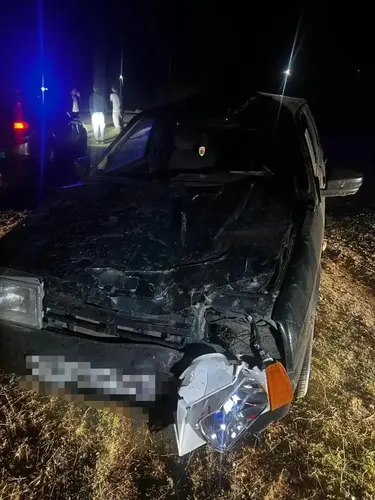 В Левокумском округе при столкновении авто с коровой пострадал 5-летний ребёнок
