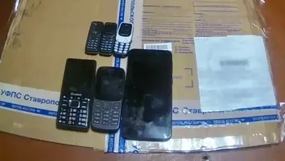 Телефоны в ведёрке мёда пытались передать осуждённому в колонию на Ставрополье