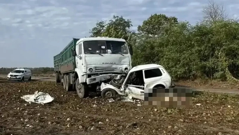 Водителя «Нивы» насмерть сбил большегруз на полевой дороге Ставрополья