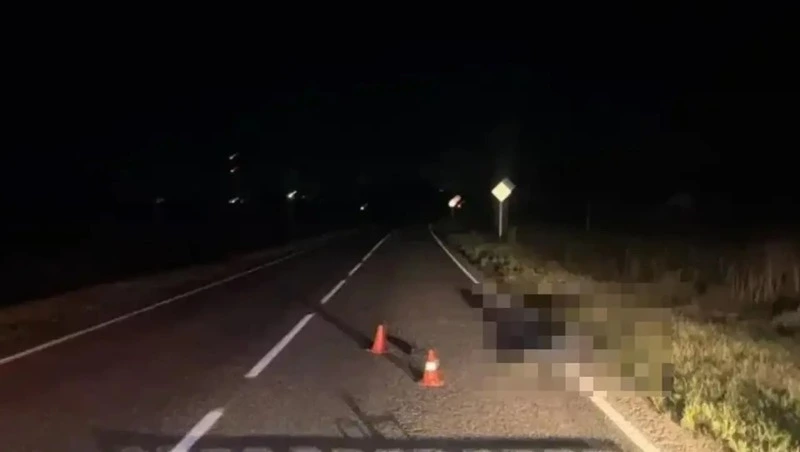 Водитель легковушки насмерть сбил мужчину, лежавшего на дороге на Ставрополье