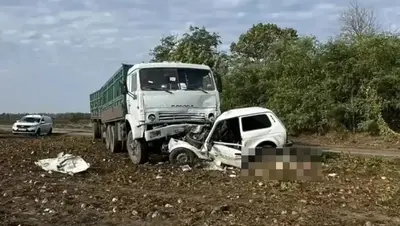 Водителя «Нивы» насмерть сбил большегруз на полевой дороге Ставрополья