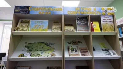 Библиотеки Кисловодска приняли более 290 тыс. посетителей с начала года