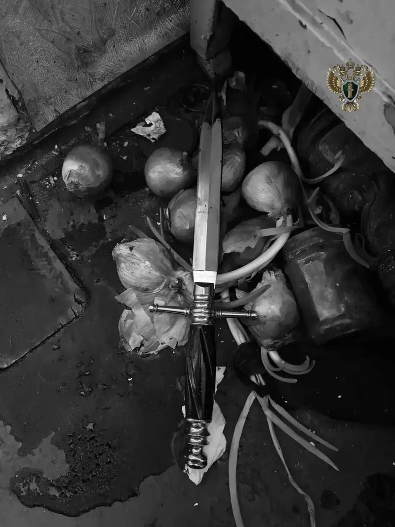 Ставропольцу дали 9,5 лет строгача за убийство собутыльника кортиком