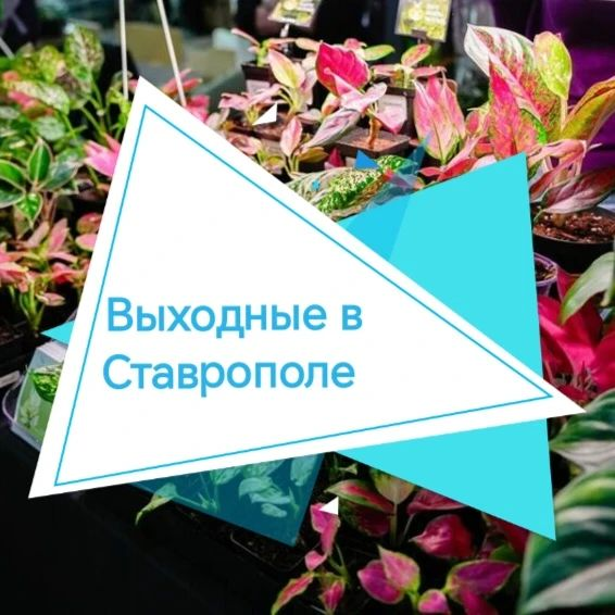 Куда сходить в Ставрополе 26–27 сентября: выставки и премьеры