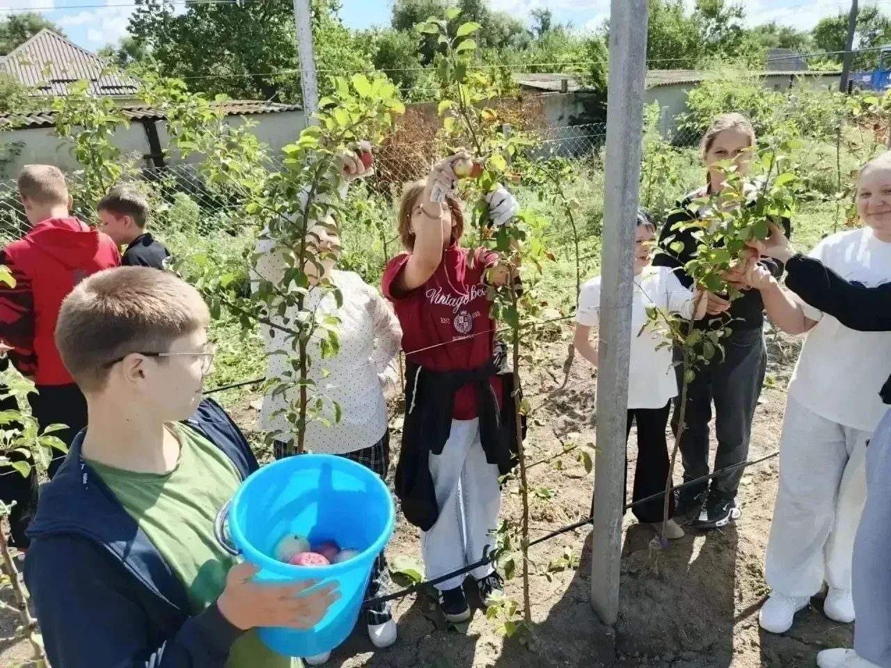 Первый урожай в школьном саду Петровского округа