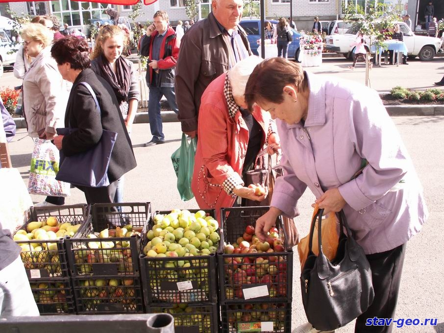 Ярмарка в Михайловске: «Гармония» собрала гостей 1 октября 2016 года