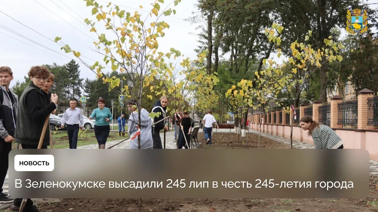 Зеленокумск озеленили к Дню города: высадили 245 деревьев