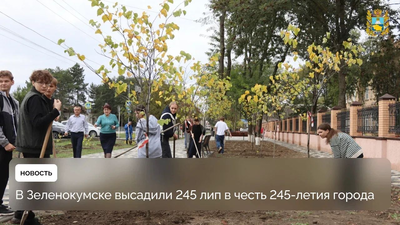Зеленокумск озеленили к Дню города: высадили 245 деревьев