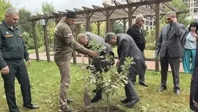 Дуб памяти в честь героев Битвы за Кавказ появился в Кисловодске