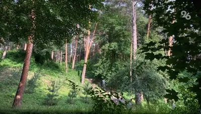 Годовалая девочка поучаствовала в походе к Медовым водопадам в Кисловодске