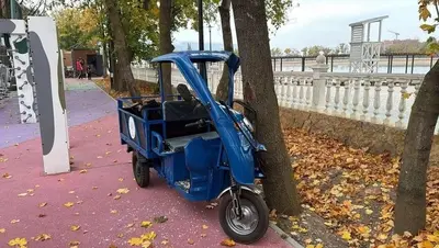 Шестилетняя кисловодчанка угнала электротележку и въехала в дерево