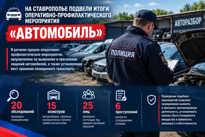 На Ставрополье подвели итоги операции «Автомобиль»: раскрыты преступления и задержаны схемы хранения авто