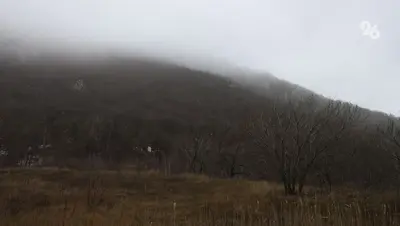 Земельные участки в селе Верхнерусском перевели в категорию промышленных