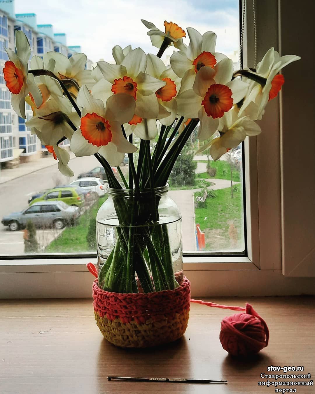 А из нашего окна... весна уж нынче за окном... 24 апреля 2021